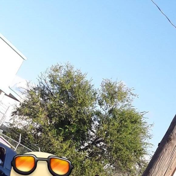 Meet your Posher, Jose - Picture 1 of 1